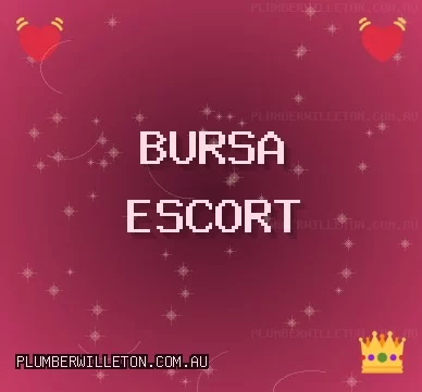 Bursa Escort: İnegöl Escort, İznik Escort, Harmancık Escort