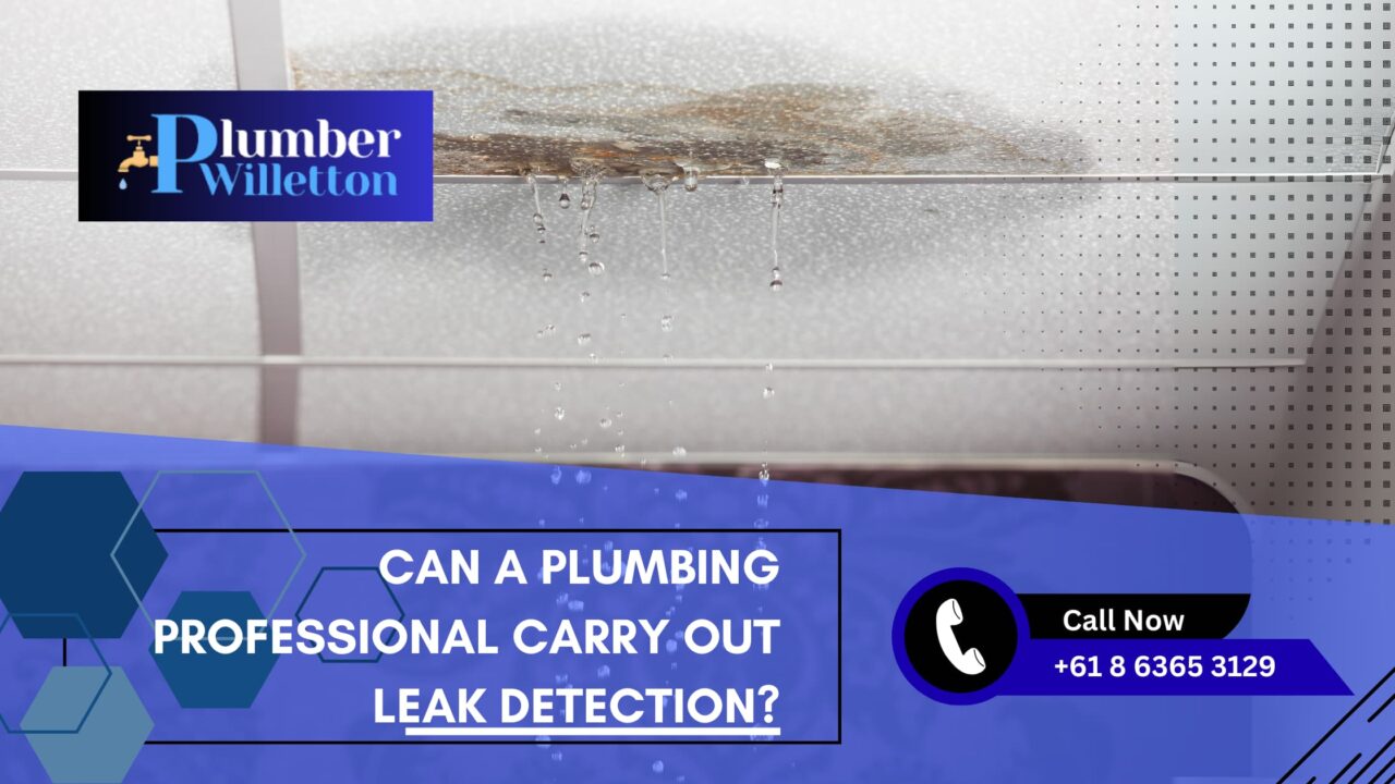 Can a plumbing professional carry out leak detection?