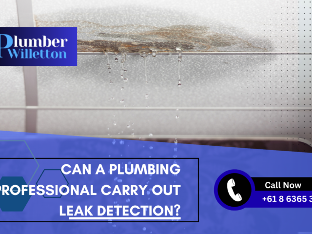 5 Warning Signs Your Perth Home Has a Hidden Water Leak (And What to Do)